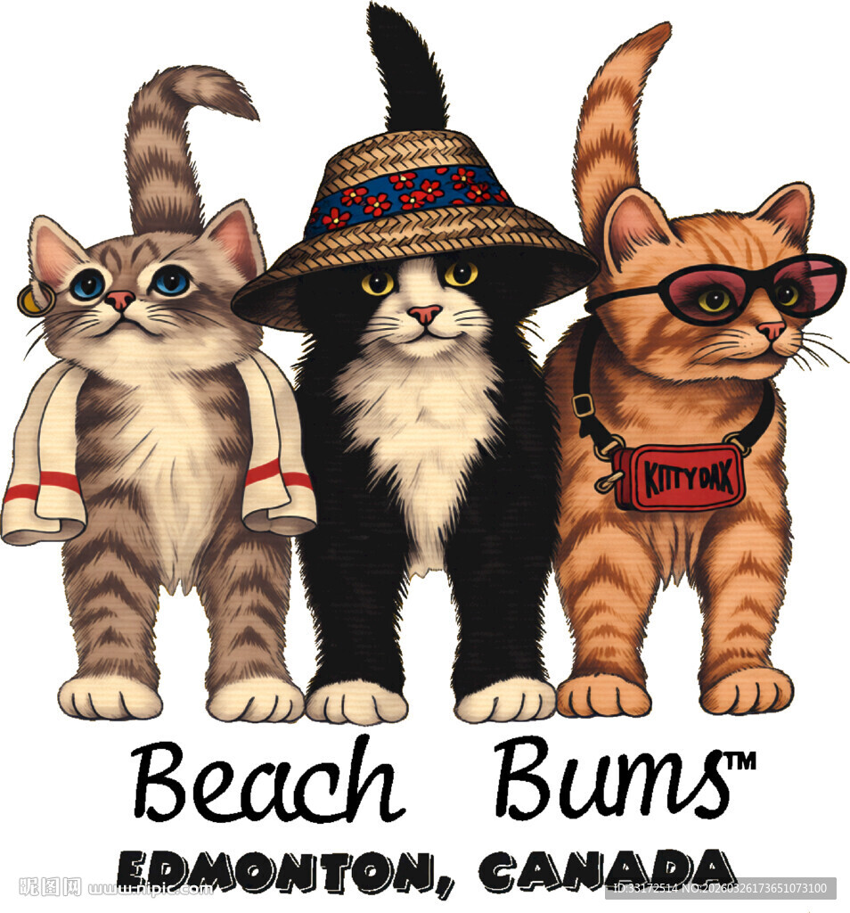 三只潮猫萌趣装扮