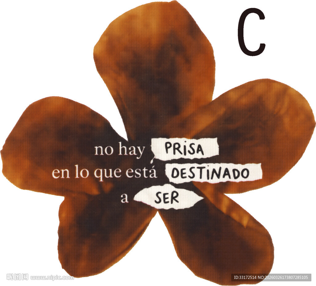 棕色花朵图案与文字信息