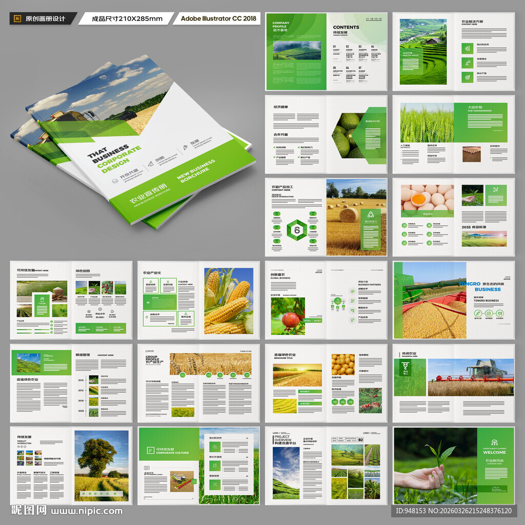 农产品宣传册