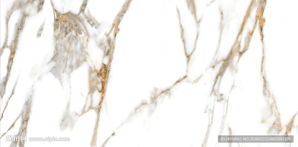 白色鱼肚金大理石石纹