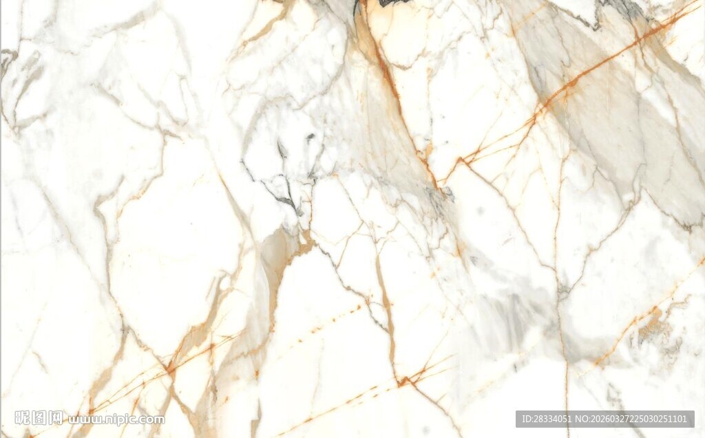 白色鱼肚金大理石石纹