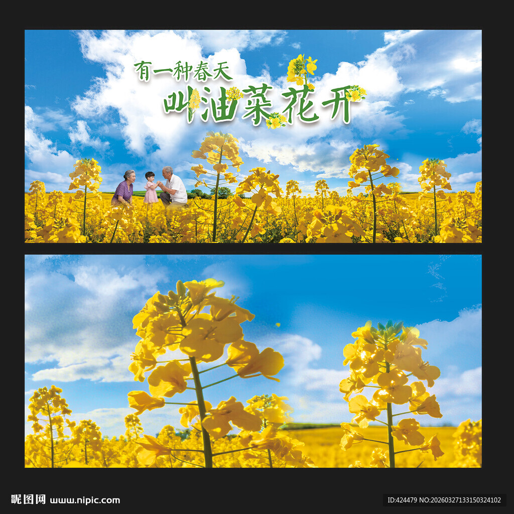 油菜花海展板展示海报