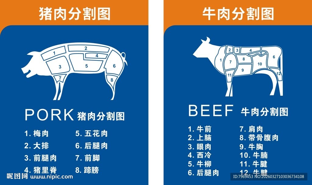 猪肉牛肉分割图