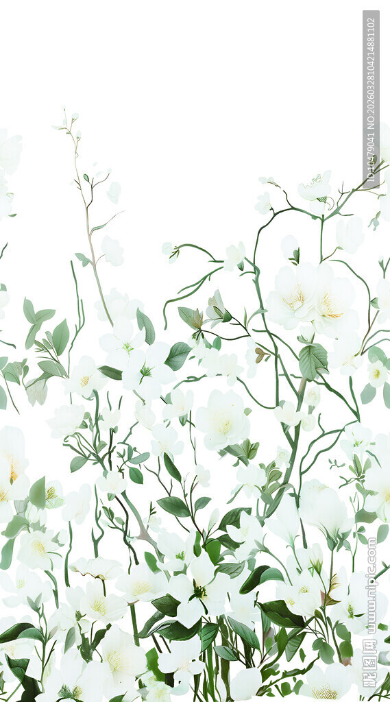 清新白花绿植自然景象