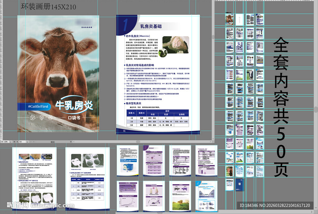 牛乳房炎口袋书