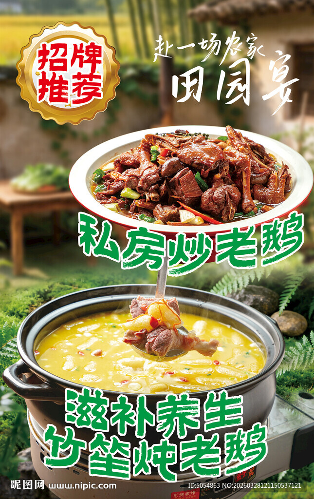 炖大鹅美食海报