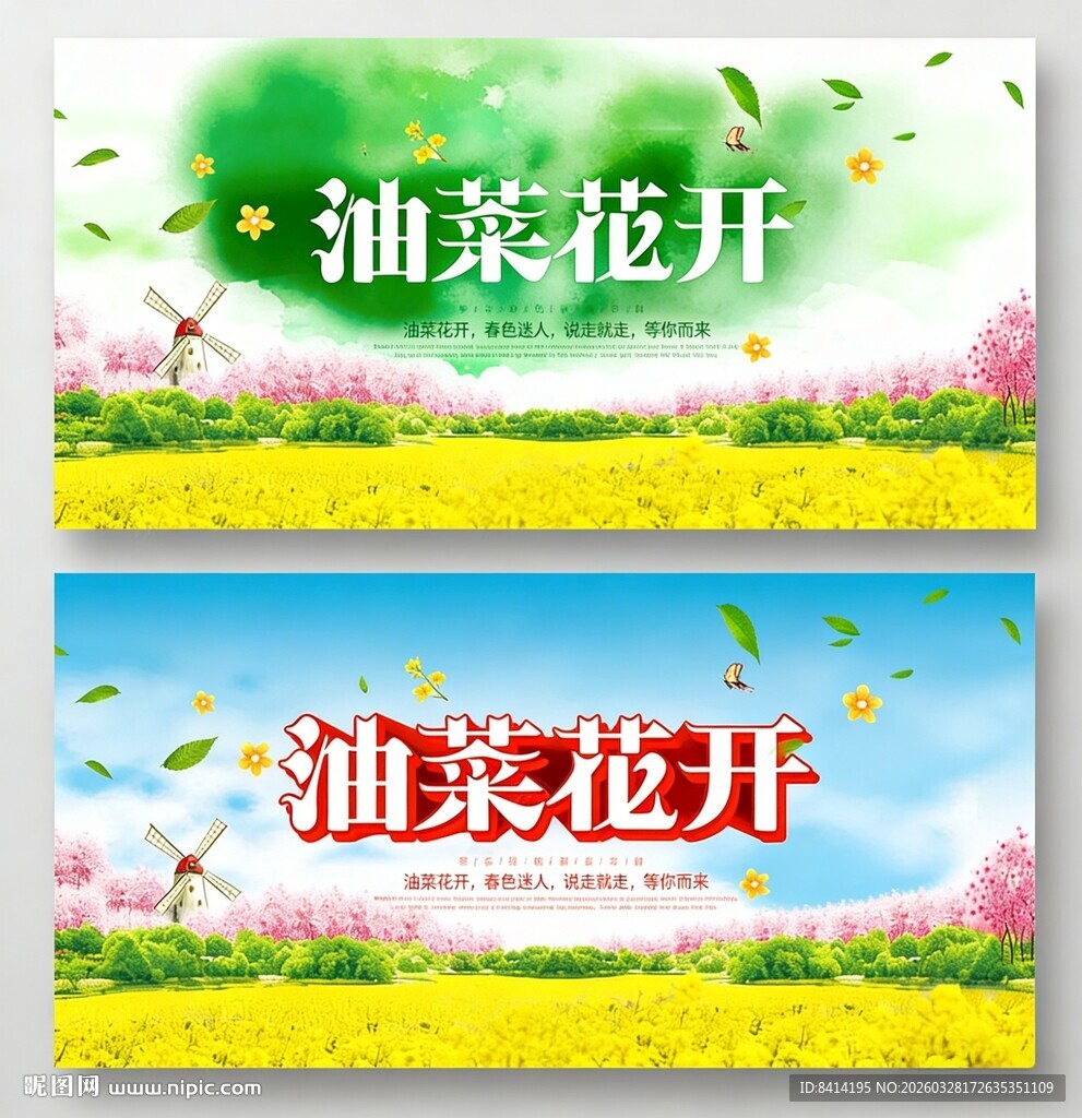油菜花开展板