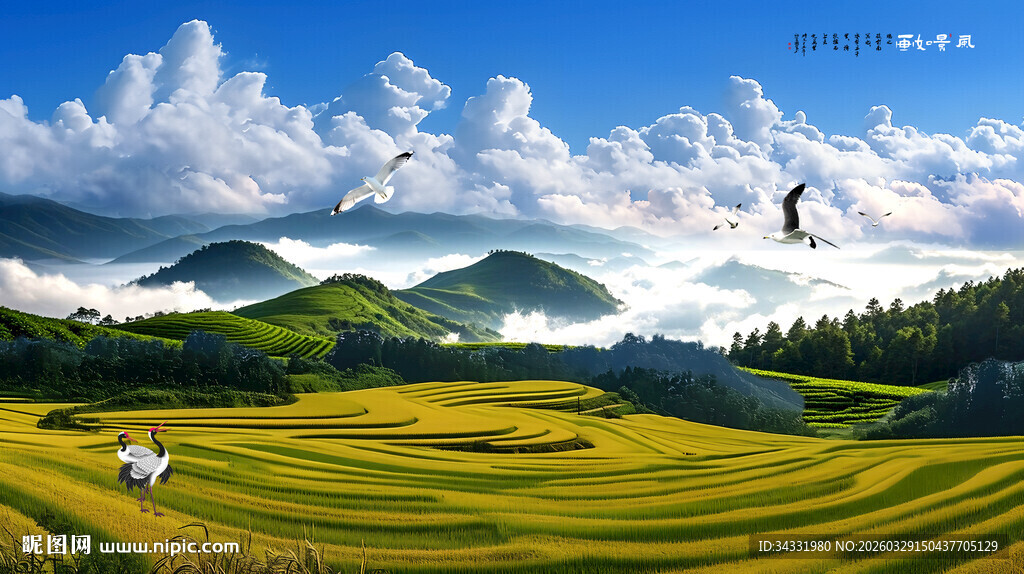 蓝天白云梯田风景画