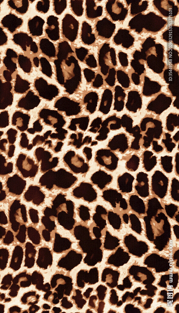 豹纹图案纹理