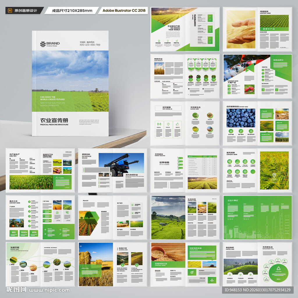 农产品宣传册