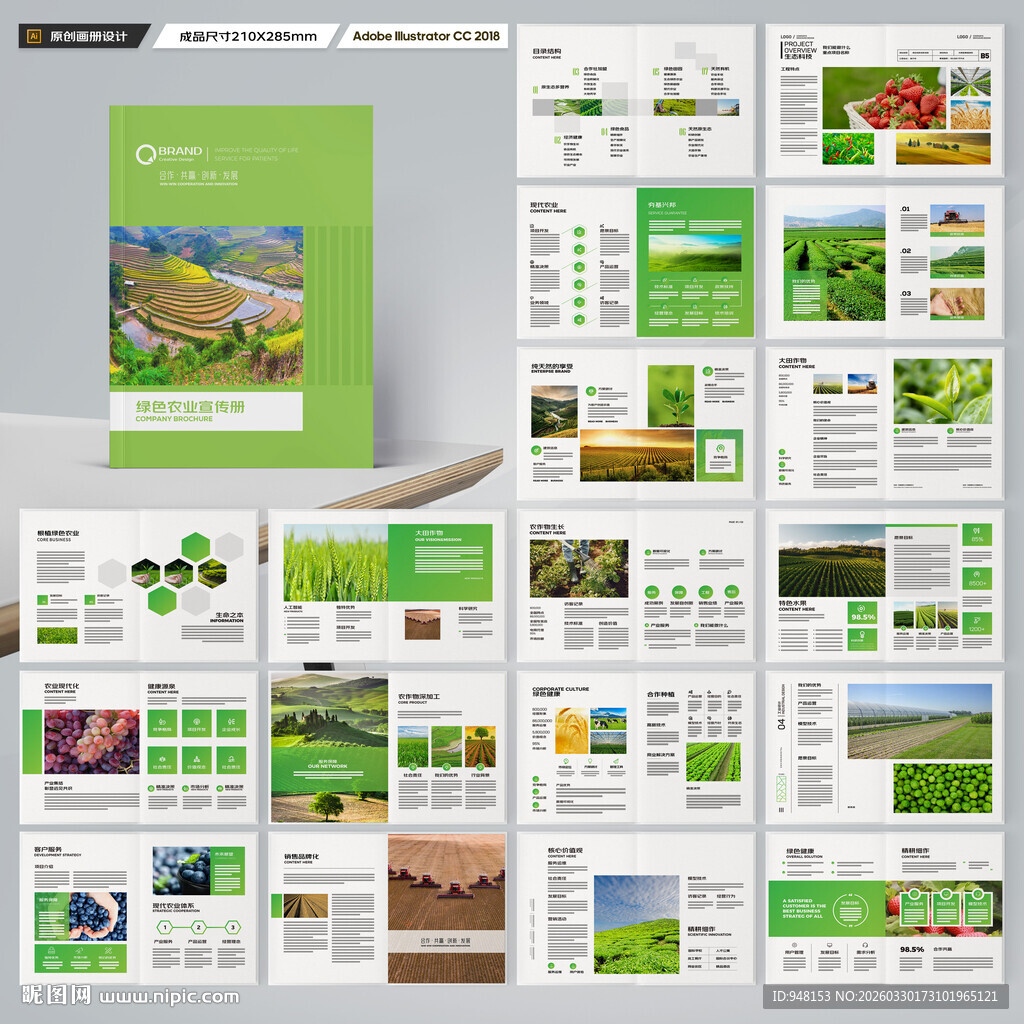 农业合作社画册