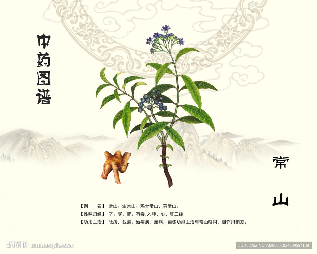 常山药材展示图