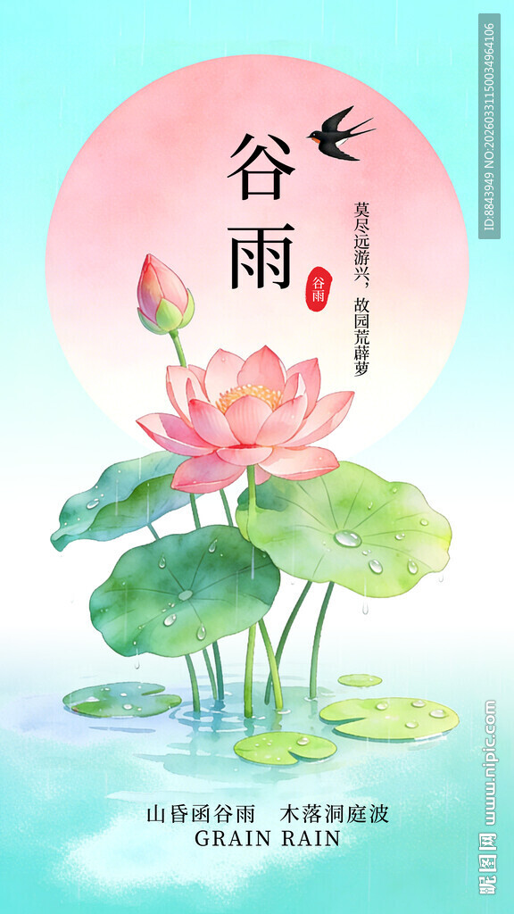 谷雨时节荷花绽放图