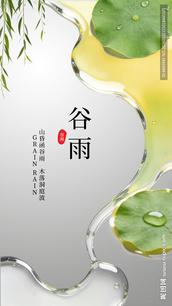 谷雨时节荷叶清水画面