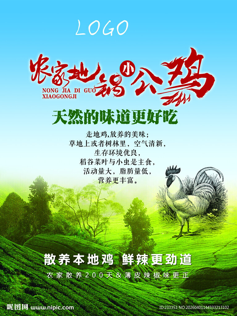 散养公鸡美味好营养
