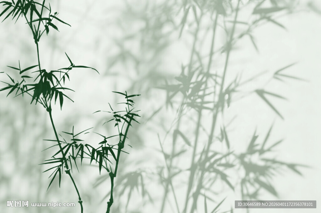 水墨风清幽翠竹图