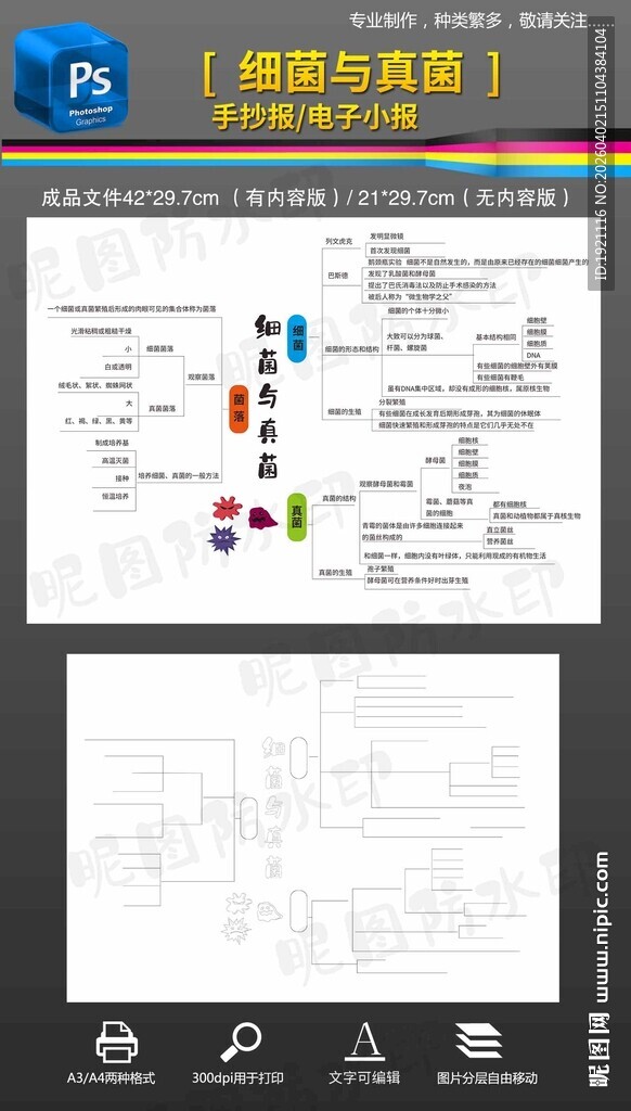 八年级生物真菌与细菌思维导图