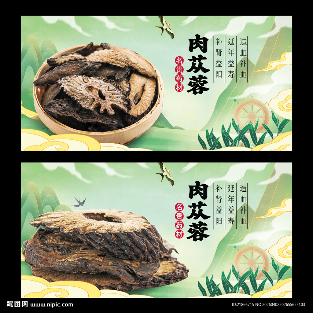 肉苁蓉
