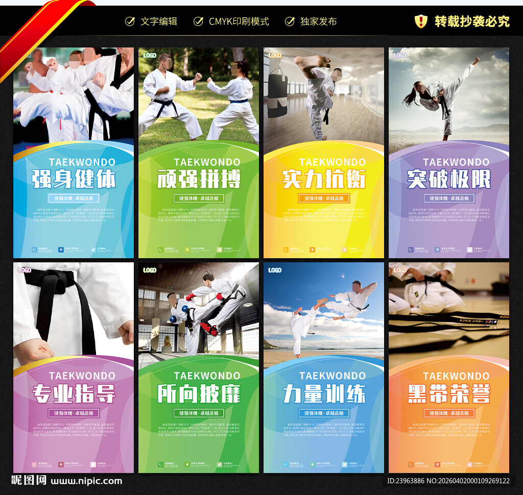 跆拳道海报