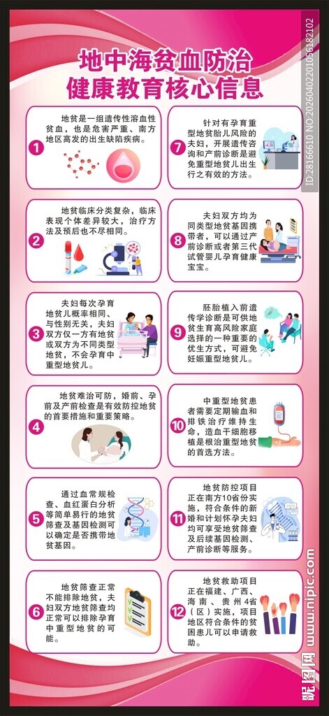 地中海贫血防治核心信息展架