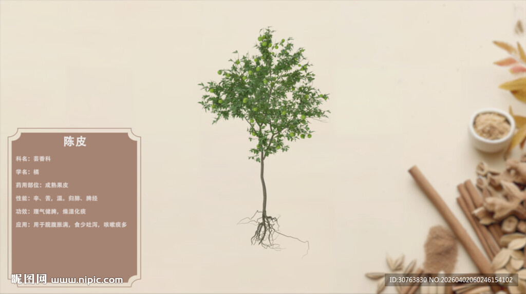 简约风绿植与香料装饰图