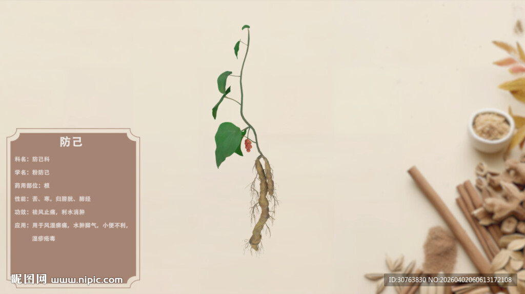 传统中药材之美防己