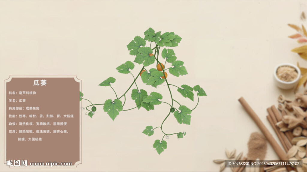 中草药瓜蒌