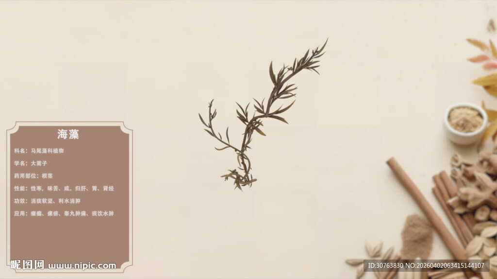 中草药海藻