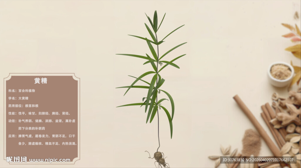 一株草药及其周边药材黄精