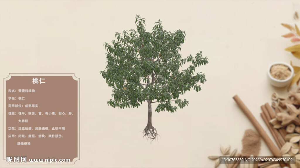 中草药桃仁