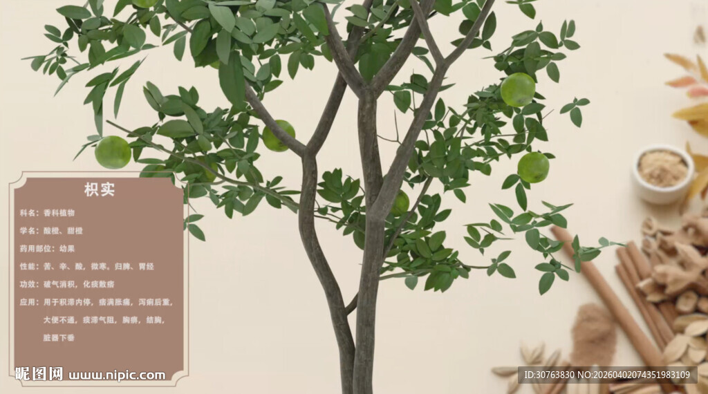 中草药枳实