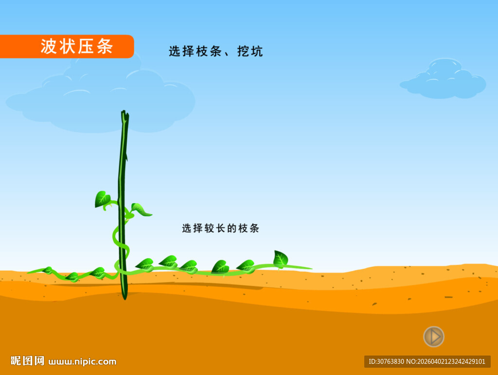 波状压条动画课件