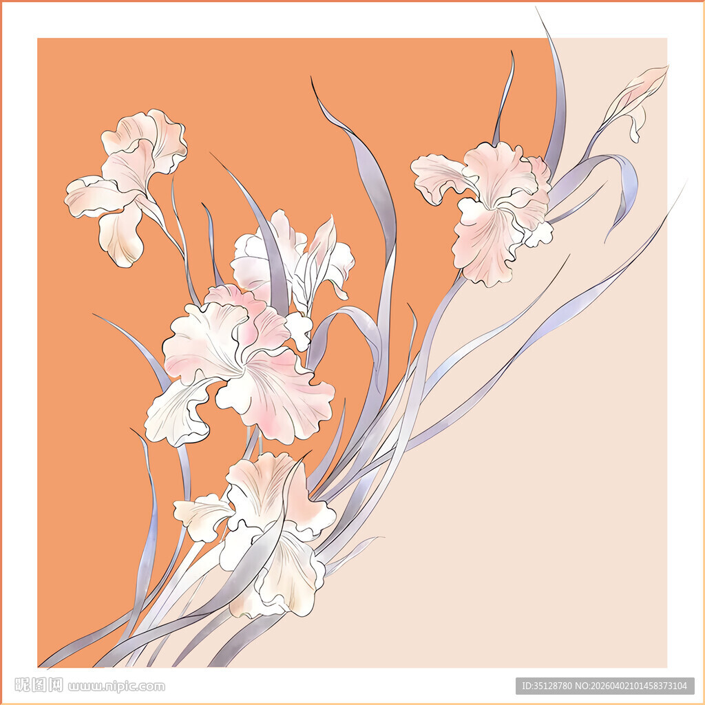 手绘鸢尾花插画