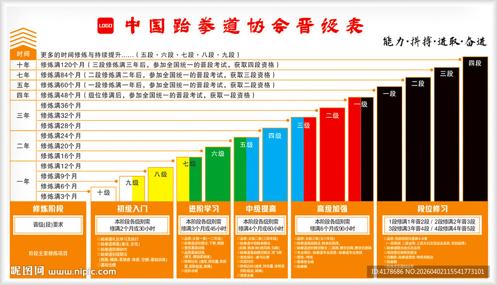 跆拳道协会晋级表