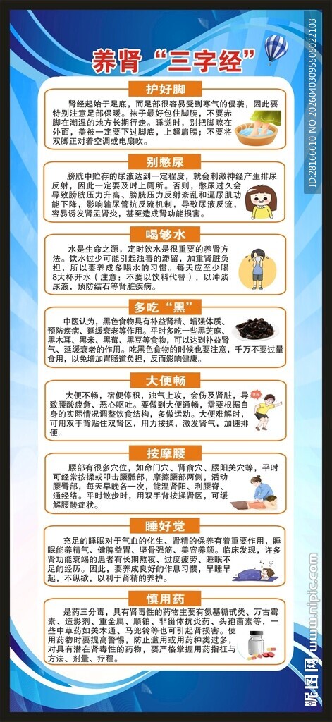 世界肾脏日展架