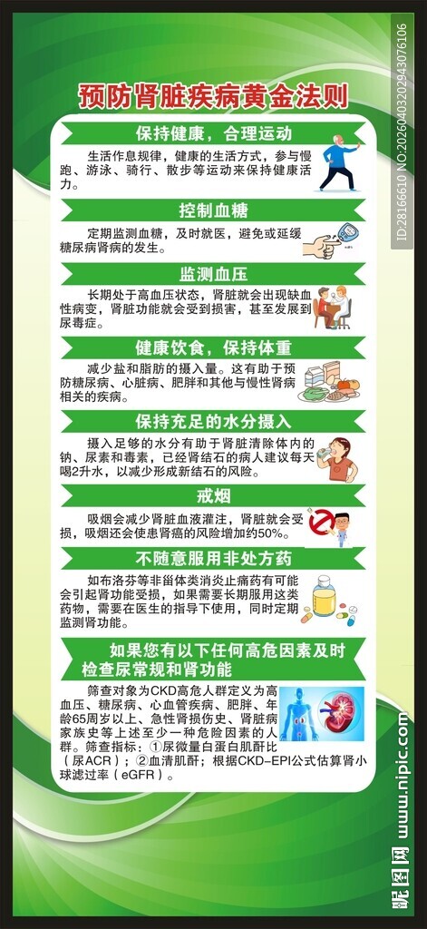 世界肾脏日展架