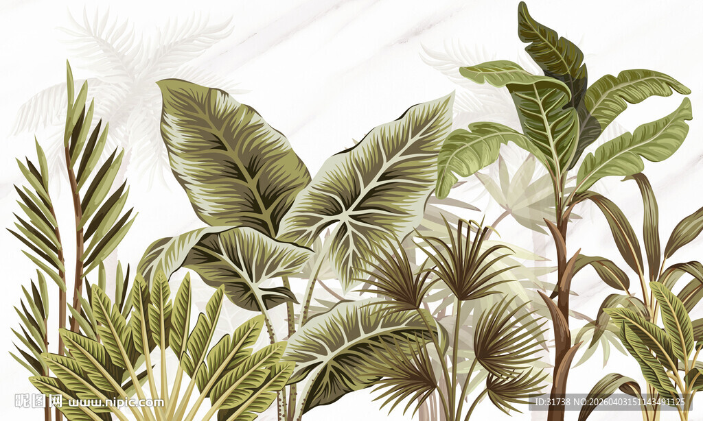 热带雨林植物背景画