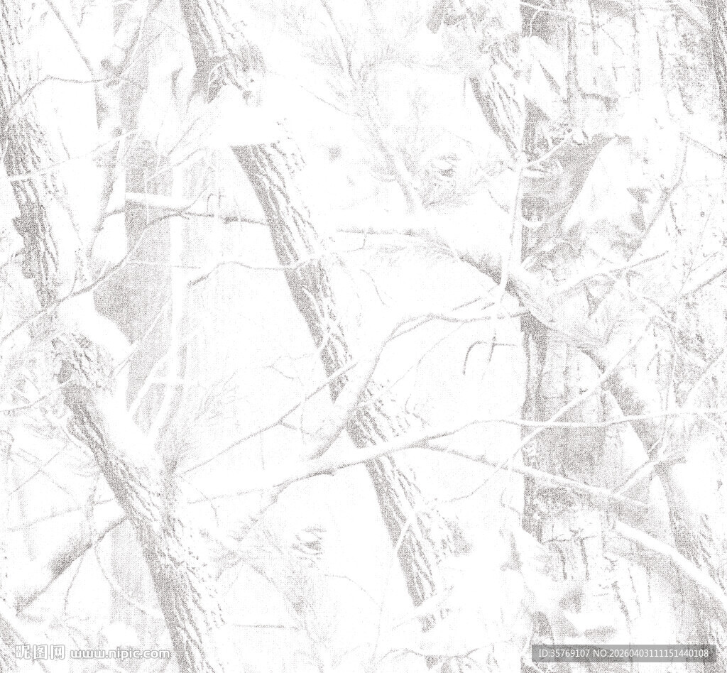 冬日雪景中的树木线条