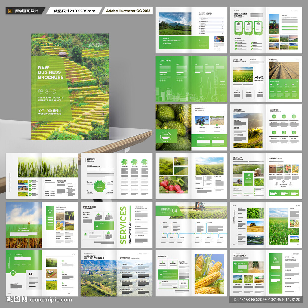 农产品宣传册