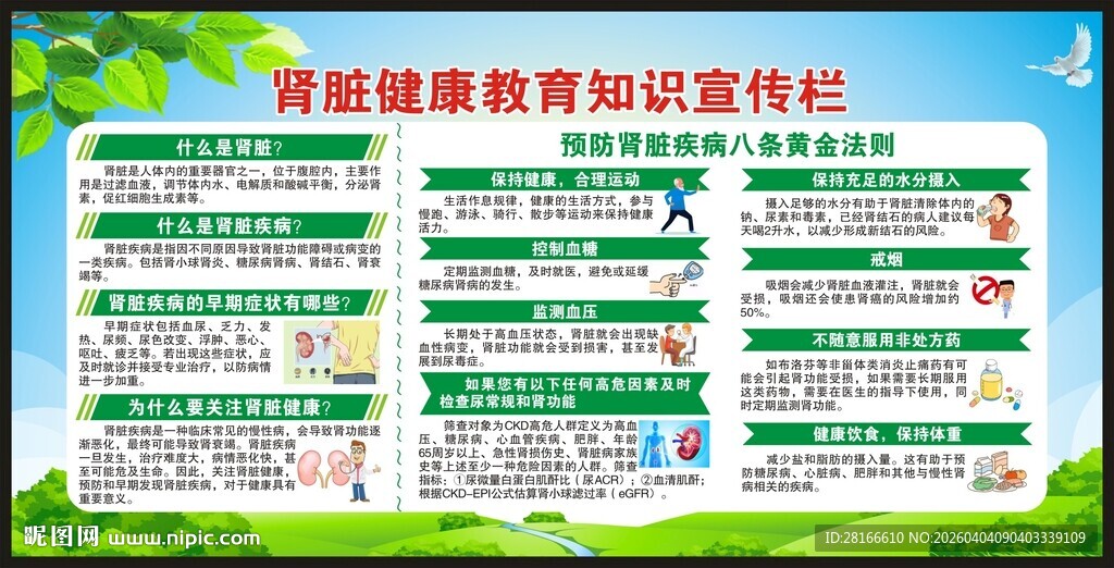 世界肾脏日宣传栏