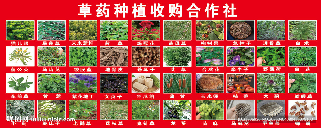 种植合作社收购宣传海报