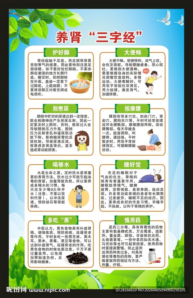 世界肾脏日海报