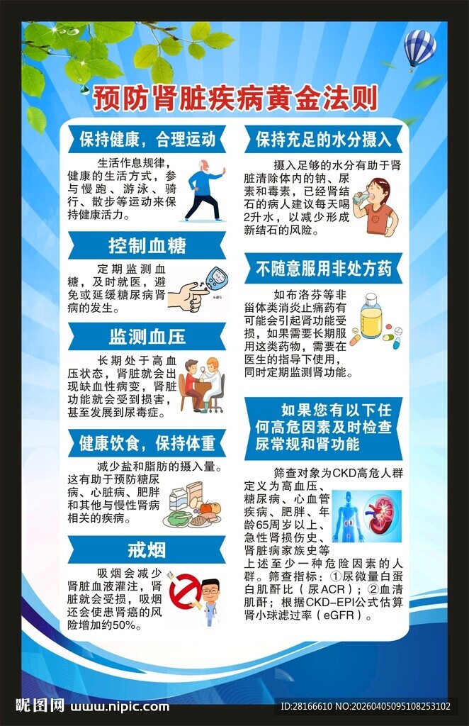 世界肾脏日海报