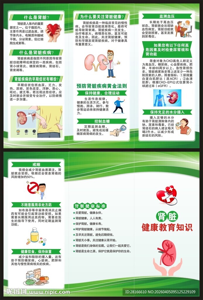 世界肾脏日三折页
