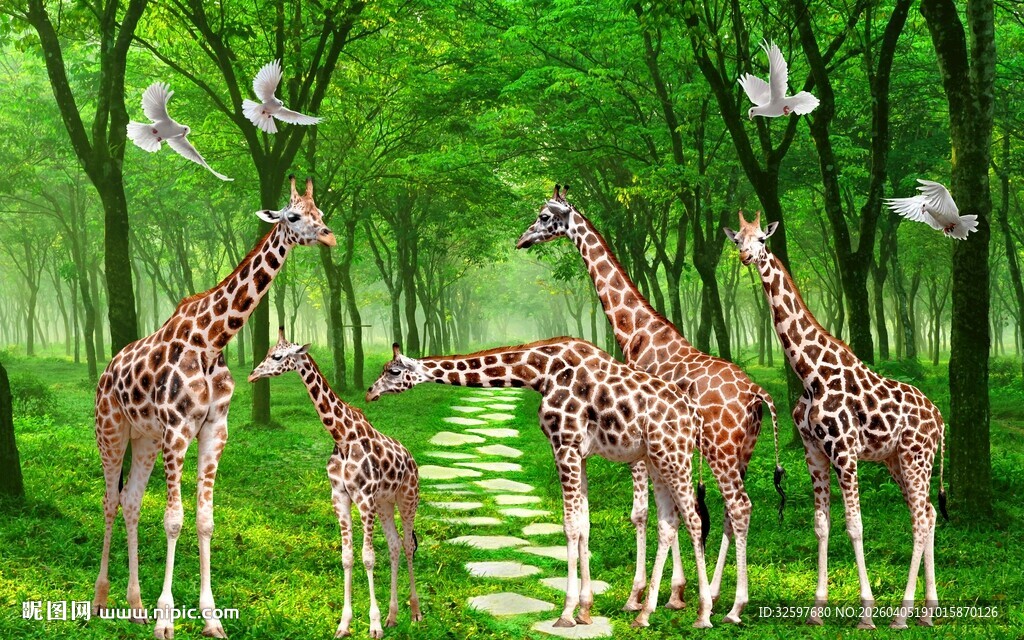 长颈鹿森林背景