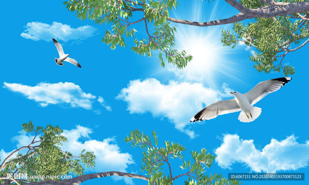 蓝天白云天花软膜