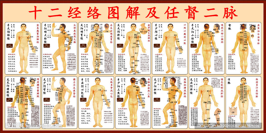十二经络及任督二脉图解 