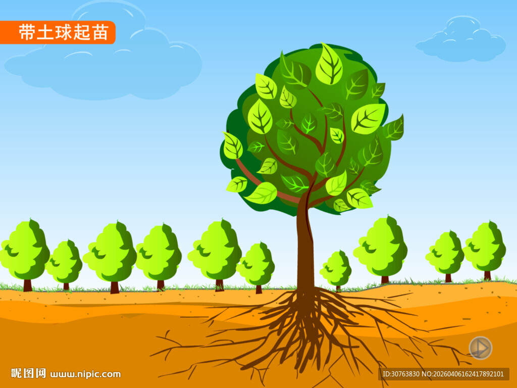 园林带土球起苗