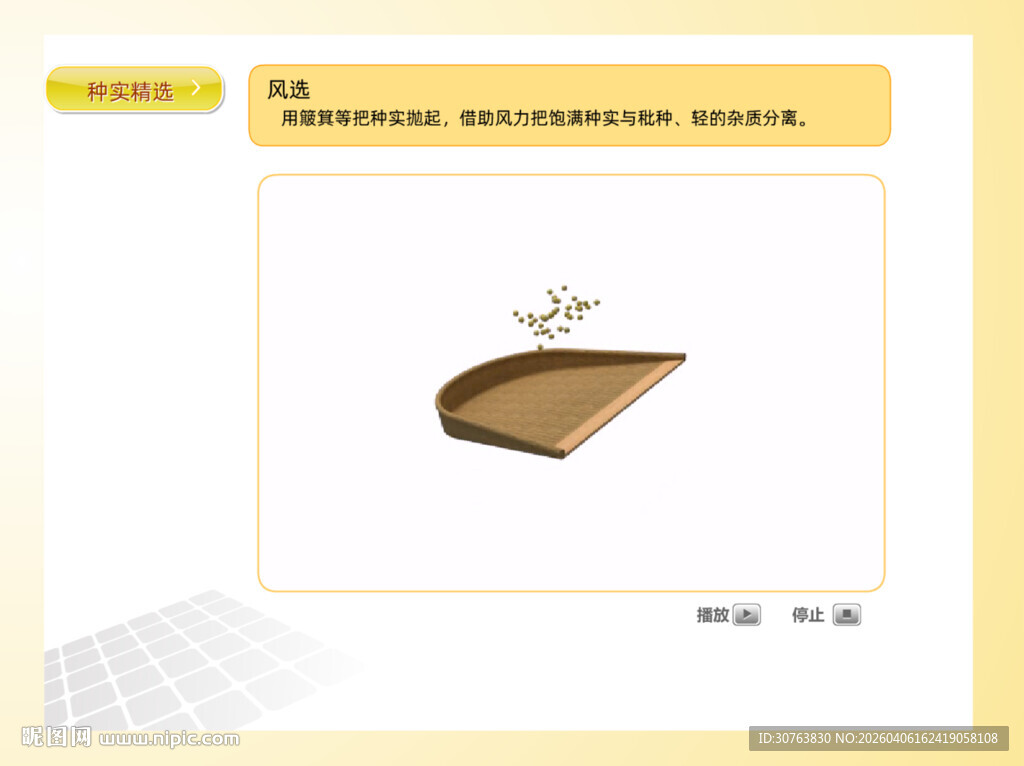 园林种子风选法