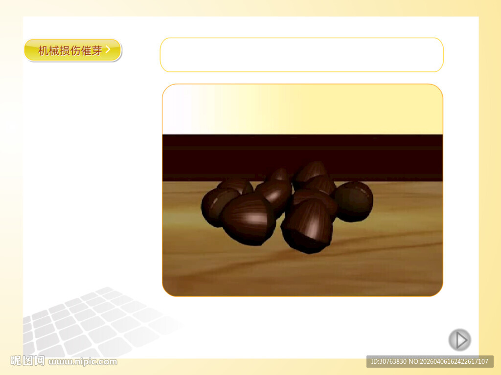 种子机械损伤催芽方法